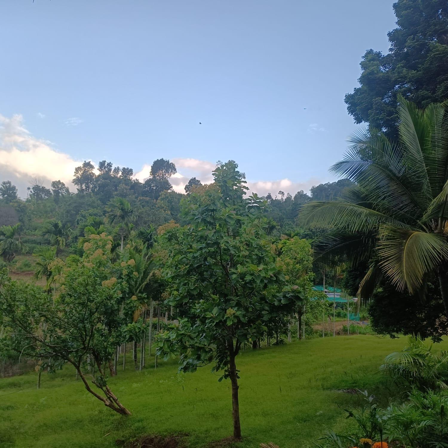 Padavayal Greens Attappadi Ngoại thất bức ảnh