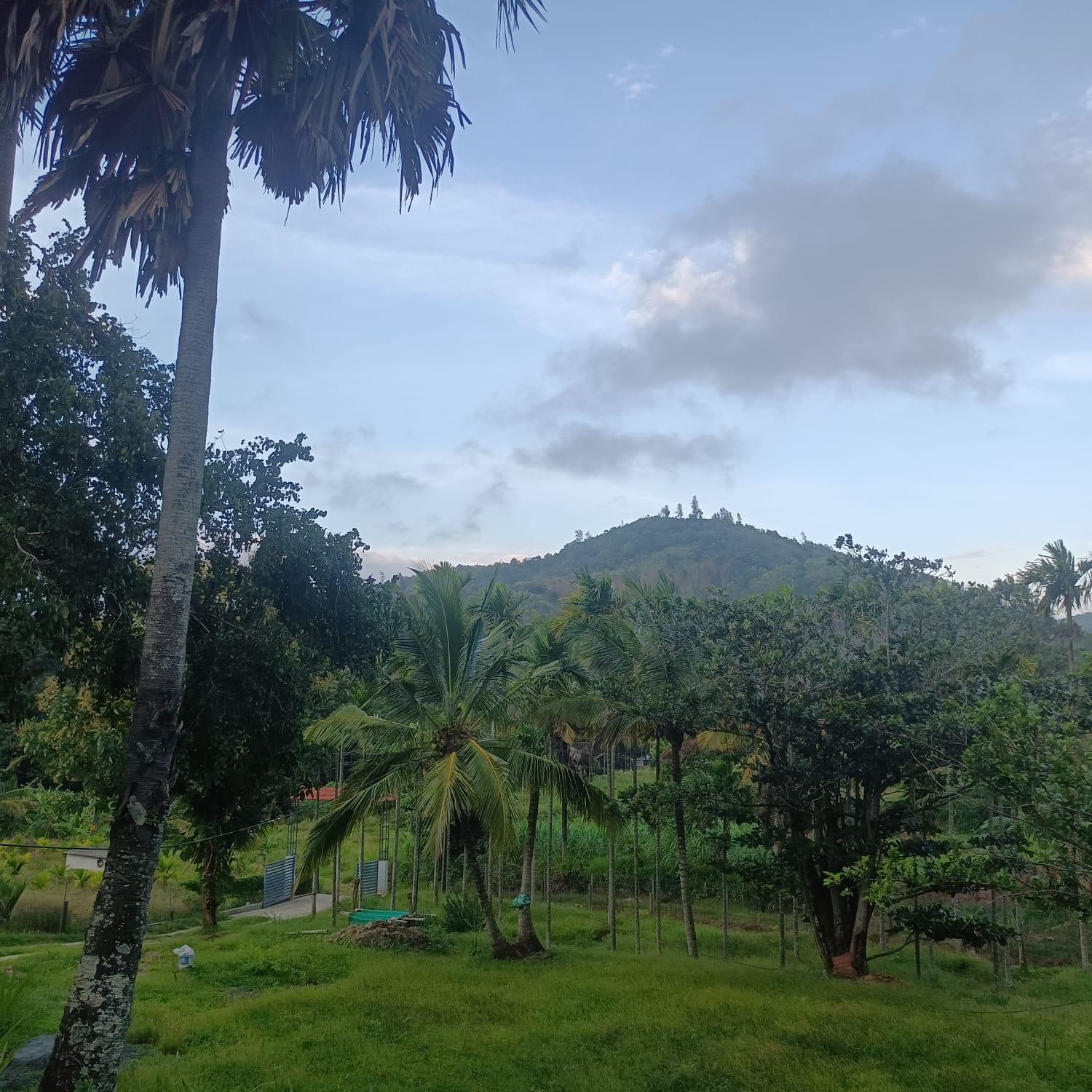 Padavayal Greens Attappadi Ngoại thất bức ảnh